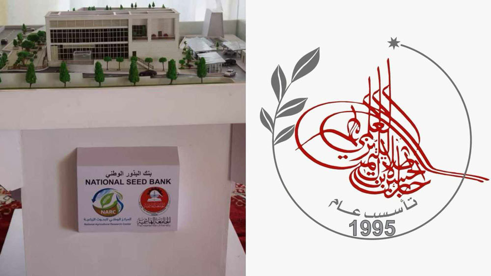الجامعة الهاشمية في المركز الأول بجائزة الحسن بن طلال للتميّز العلمي 2024 عن مشروع "بنك البذور الوطني"