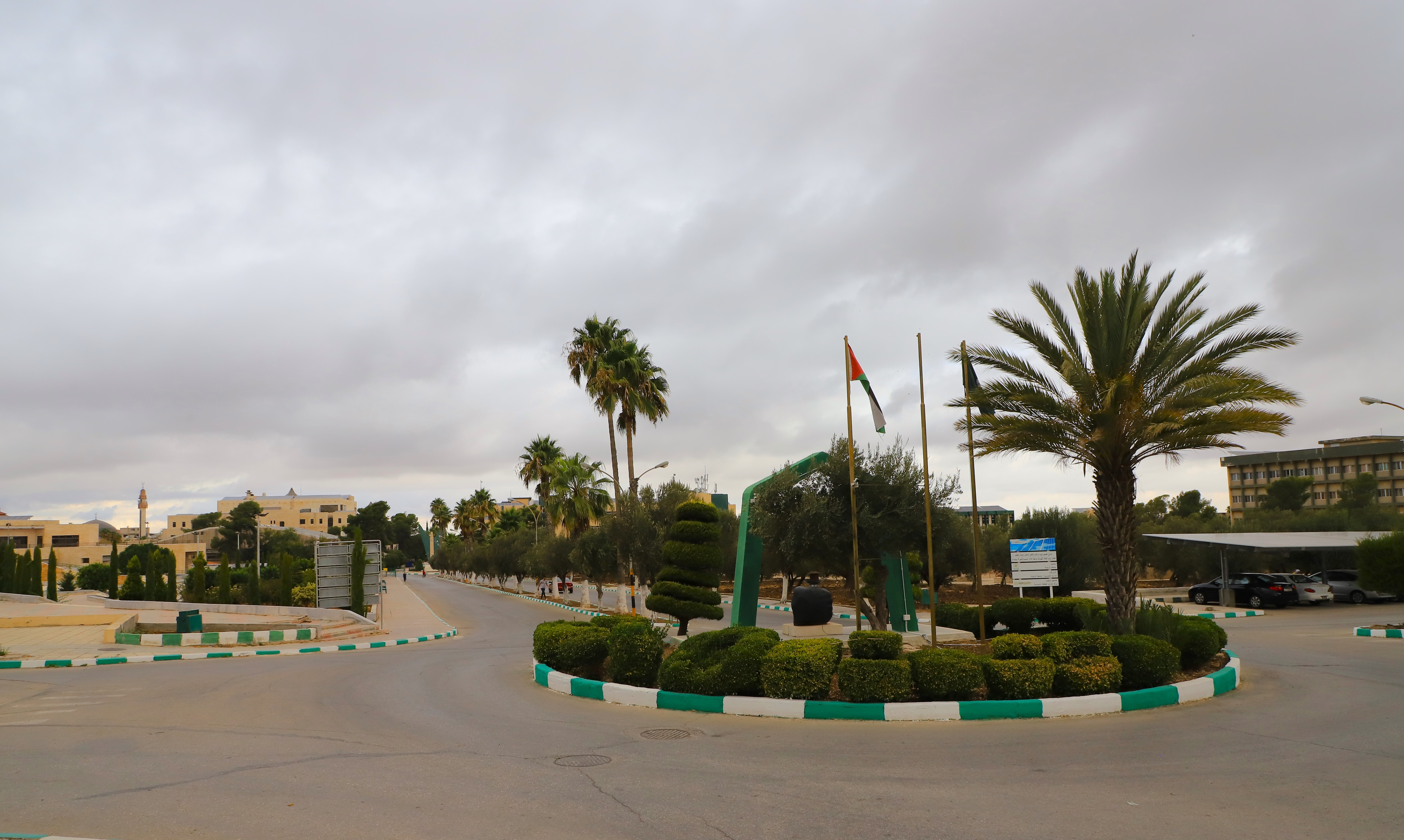 تشكيلات أكاديمية واسعة في اليرموك