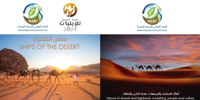 جامعة جرش في ورشة “سفن الصحراء” ضمن الفعاليات الدولية لسنة الإبليات2024 – بقلم الأستاذ الدكتور بشير جرار